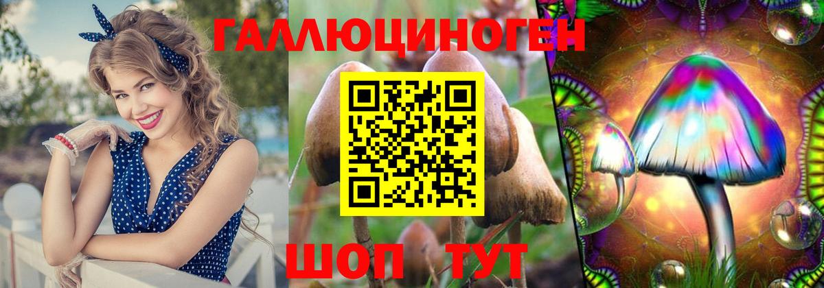 Кизилюрт  дарнет шоп  Вход с VPN  Псилоцибиновые грибы мухоморы  Псилоцибиновые грибы MAGIC MUSHROOMS 