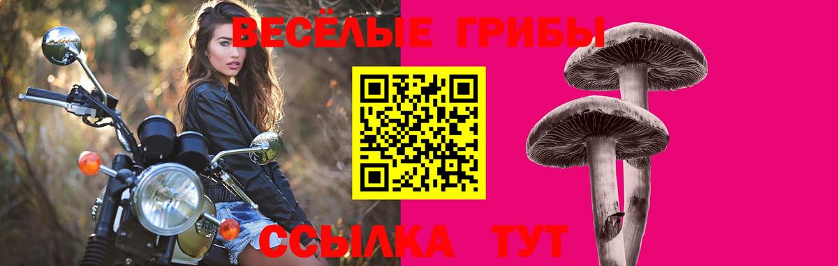 Галлюциногенные грибы ЛСД Кизилюрт