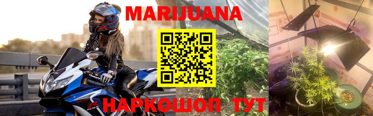 Каннабис White Widow Кизилюрт