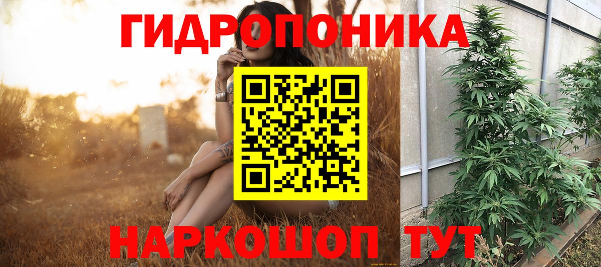 Кизилюрт  Конопля OG Kush  Бошки Шишки семена  МАРИХУАНА THC 21%  Вход с VPN 